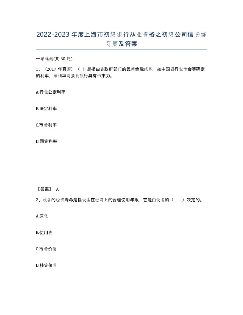 2022-2023年度上海市初级银行从业资格之初级公司信贷练习题及答案