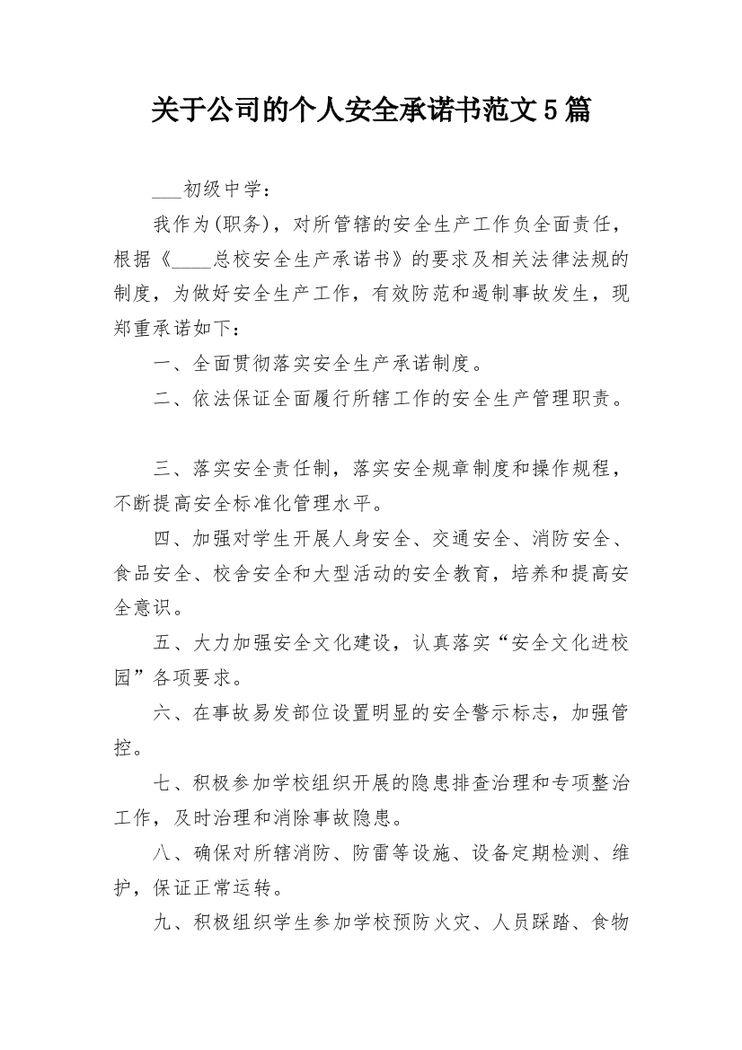 关于公司的个人安全承诺书范文5篇