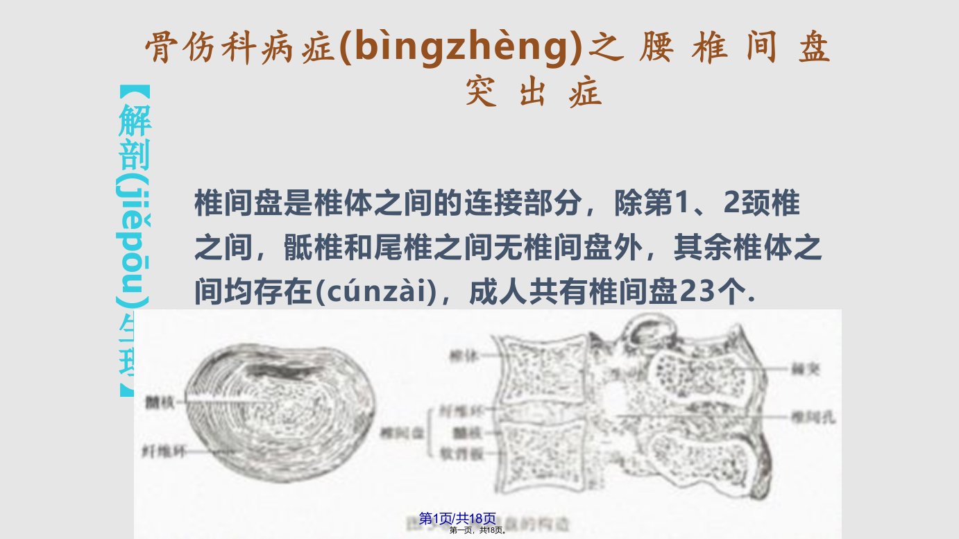 推拿治疗腰椎间盘突出症PPT课件