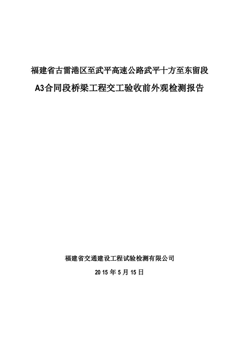 桥梁工程交工验收前外观检测报告