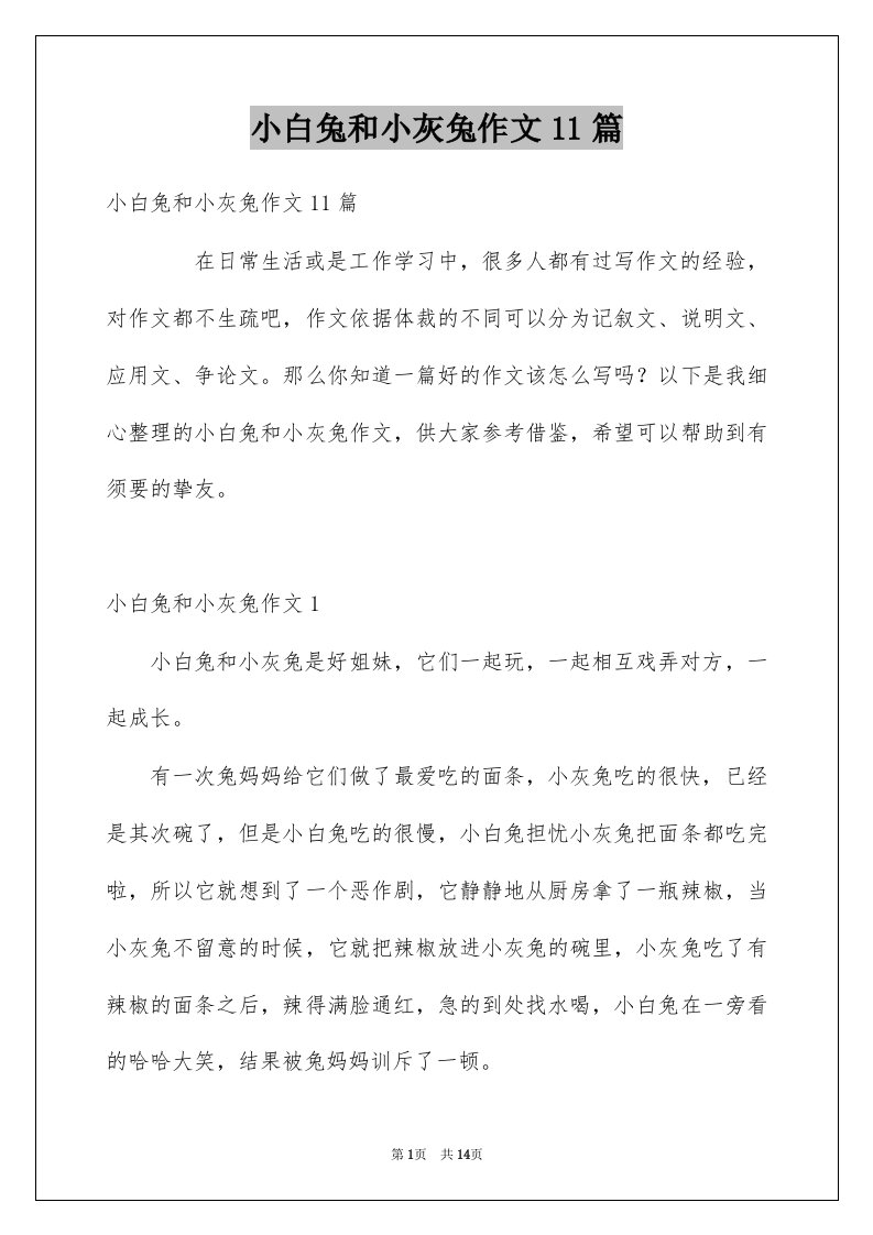 小白兔和小灰兔作文11篇