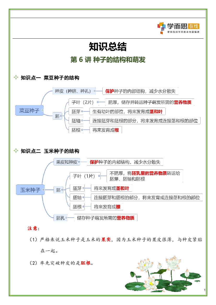 第6讲-种子的结构和萌发