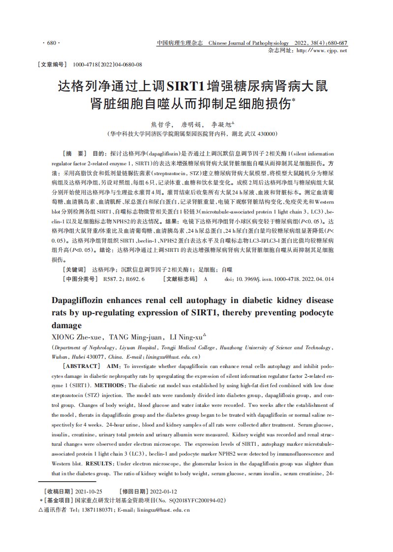 达格列净通过上调SIRT1增强糖尿病肾病大鼠肾脏细胞自噬从而抑制足细胞损伤