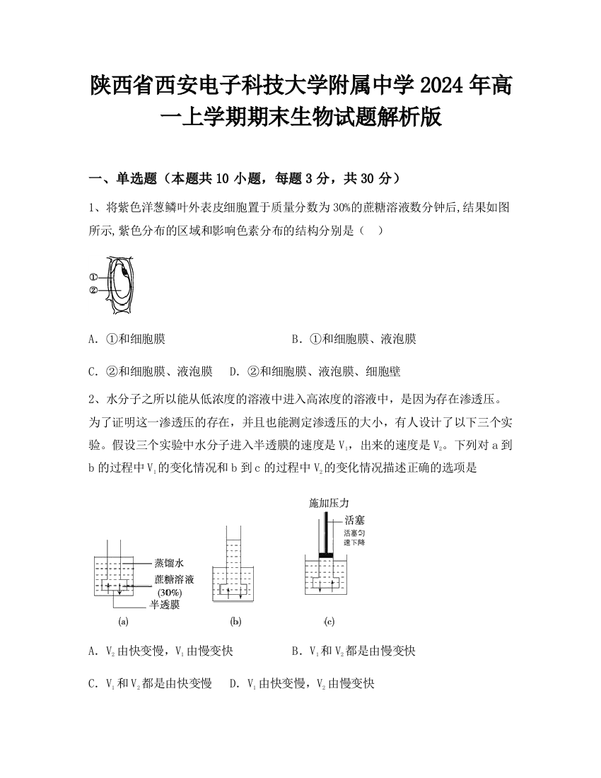 陕西省西安电子科技大学附属中学2024年高一上学期期末生物试题解析版