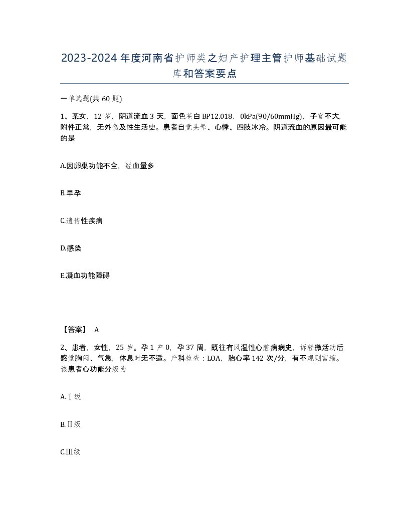 2023-2024年度河南省护师类之妇产护理主管护师基础试题库和答案要点