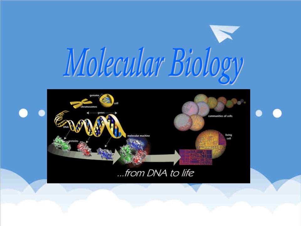 生物科技-分子生物学课件