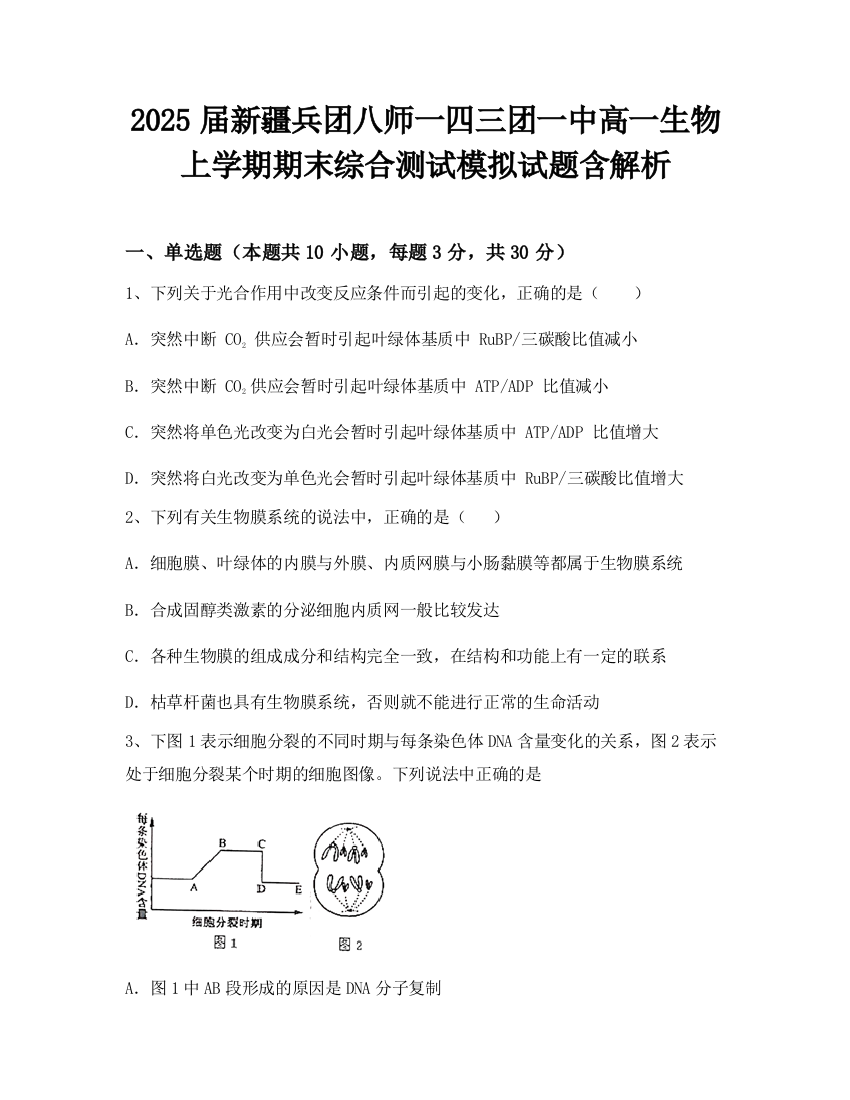 2025届新疆兵团八师一四三团一中高一生物上学期期末综合测试模拟试题含解析