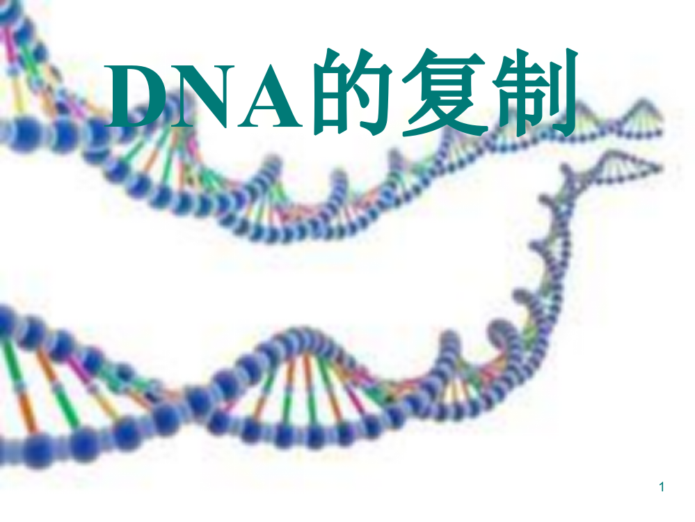 DNA的复制(含动画)ppt课件