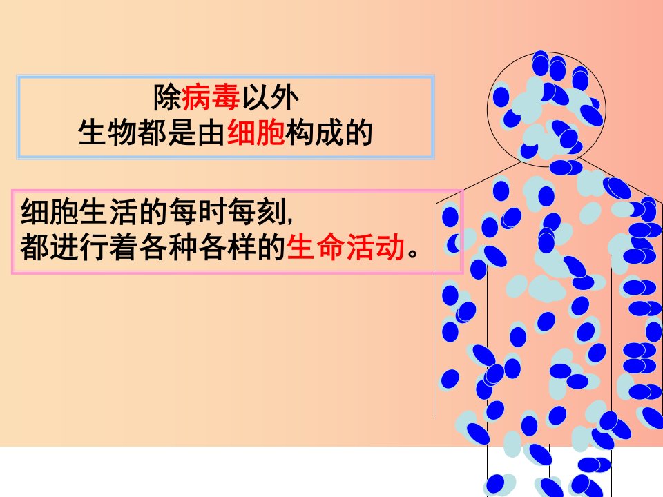 2019年七年级生物上册