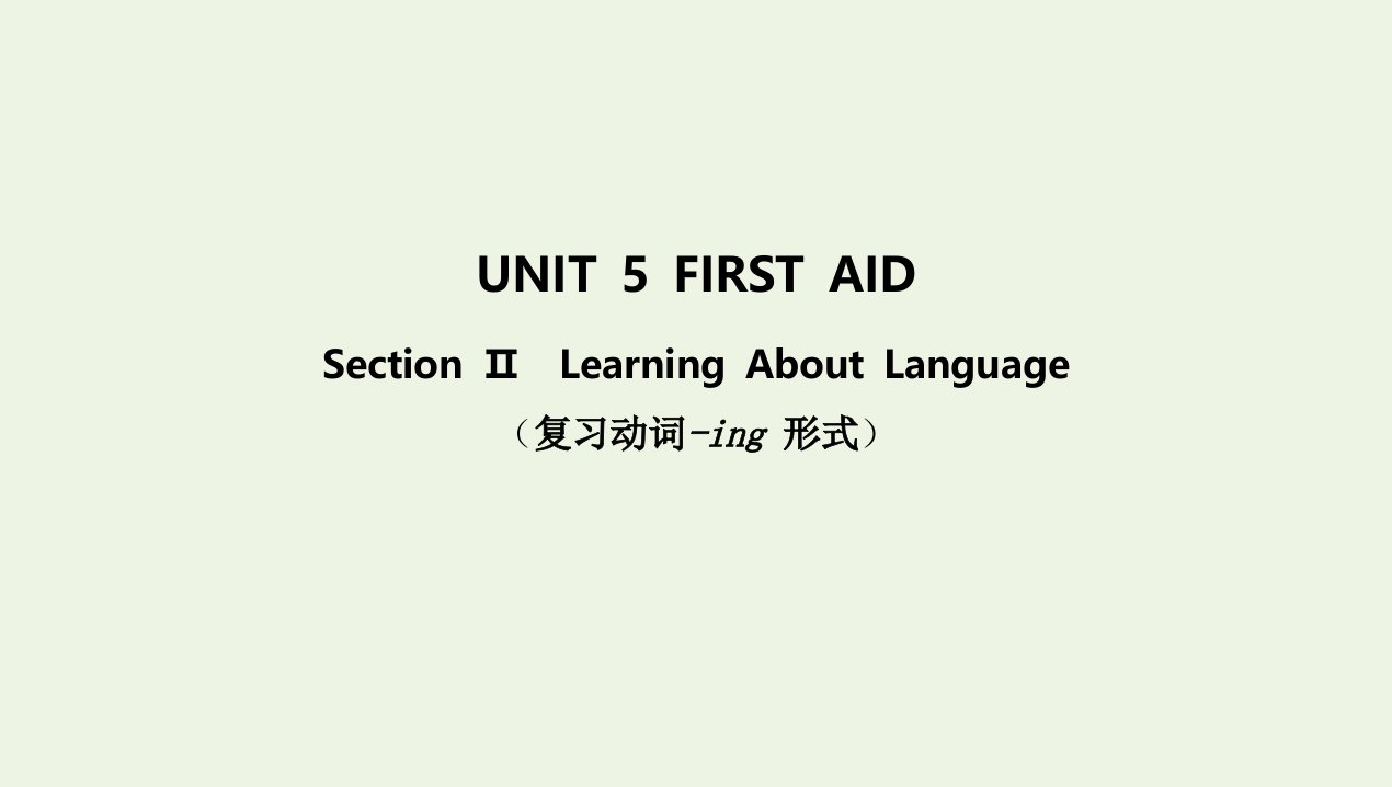 2022版新教材高中英语UNIT5FIRSTAIDSectionⅡLearningAboutLanguage课件新人教版选择性必修第二册