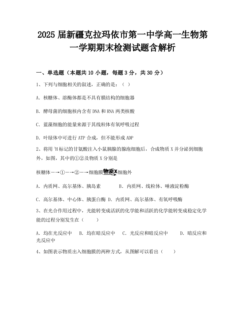 2025届新疆克拉玛依市第一中学高一生物第一学期期末检测试题含解析