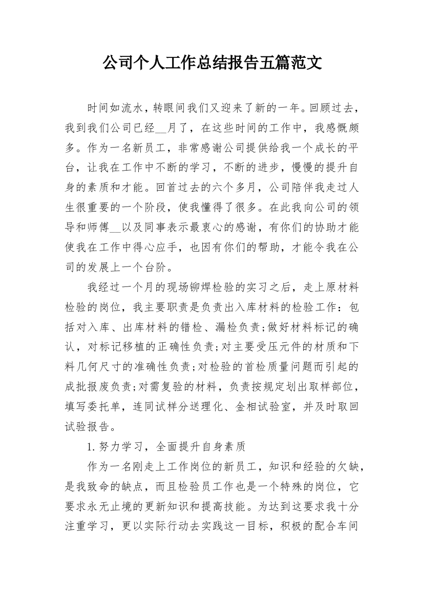 公司个人工作总结报告五篇范文_1