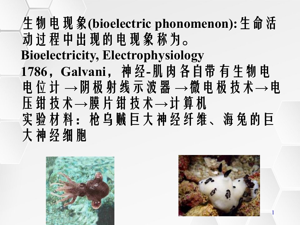 人体及动物生理学之第3章神经元的兴奋和传导