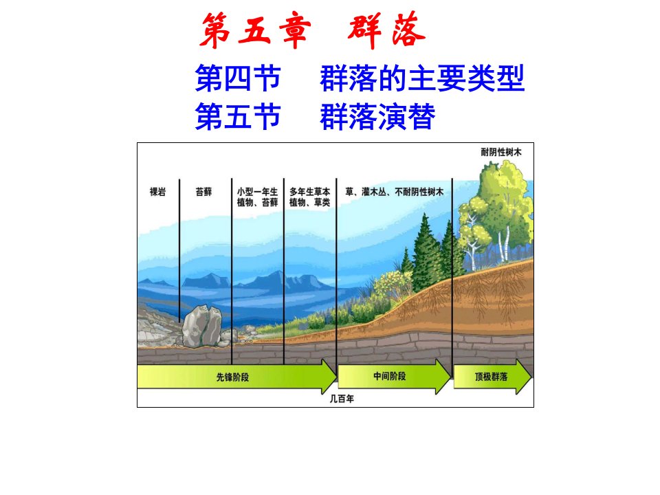 5.4-群落的主要类型和群落演替