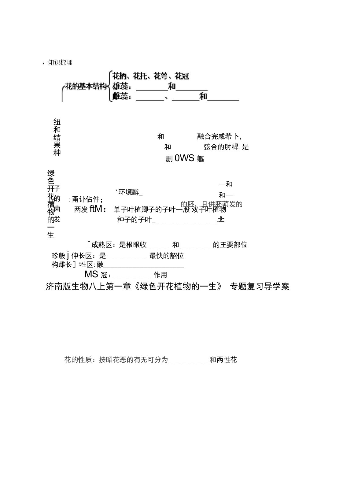 八年级生物上册第一章《绿色开花植物的一生》专题复习导学案济南版