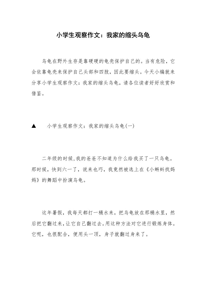 小学生观察作文：我家的缩头乌龟