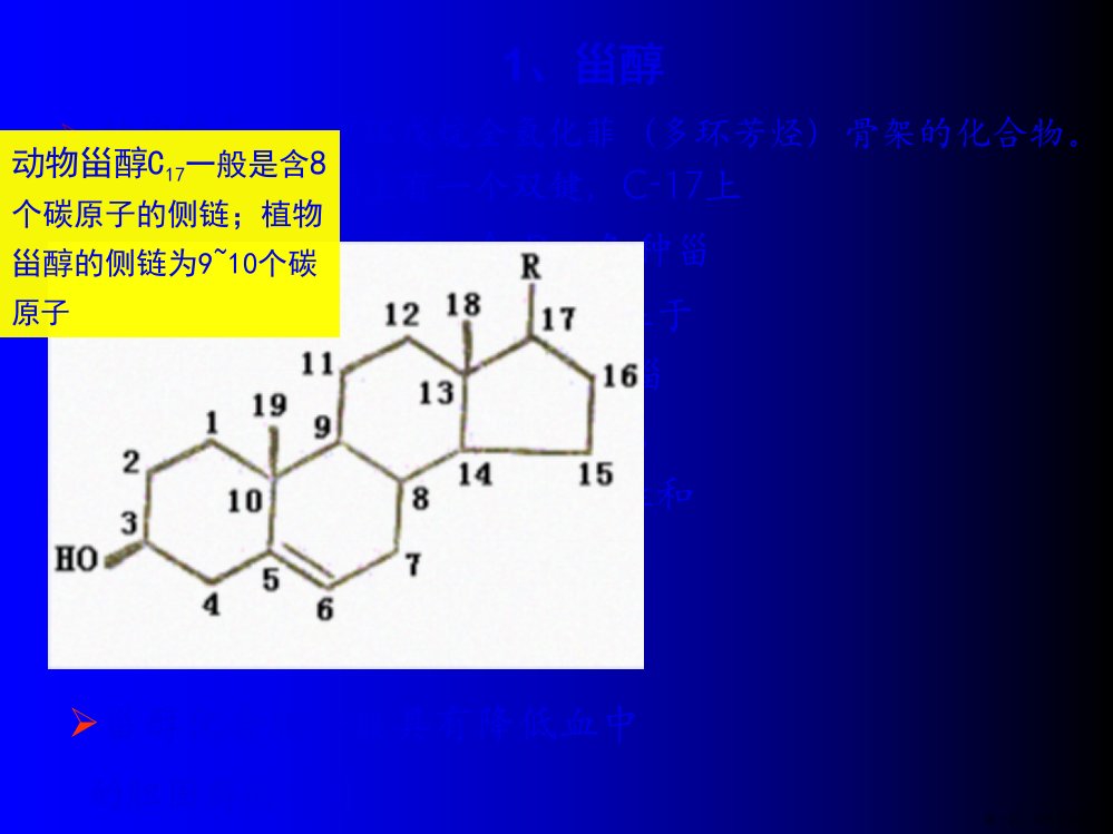 海洋生物活性物质甾醇