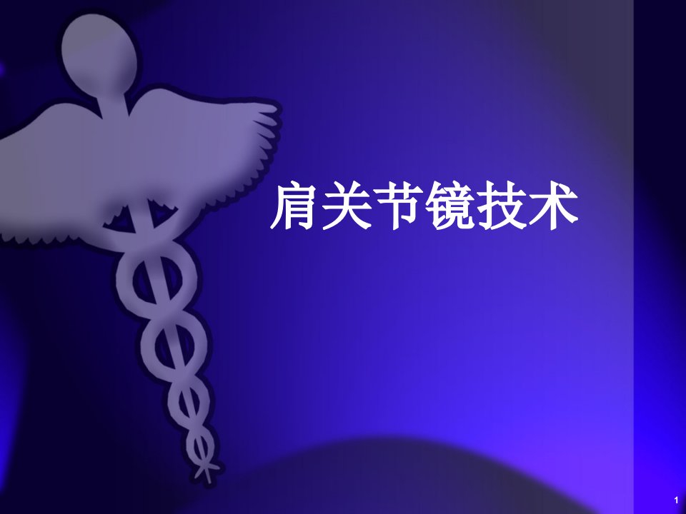 肩关节镜技术ppt课件