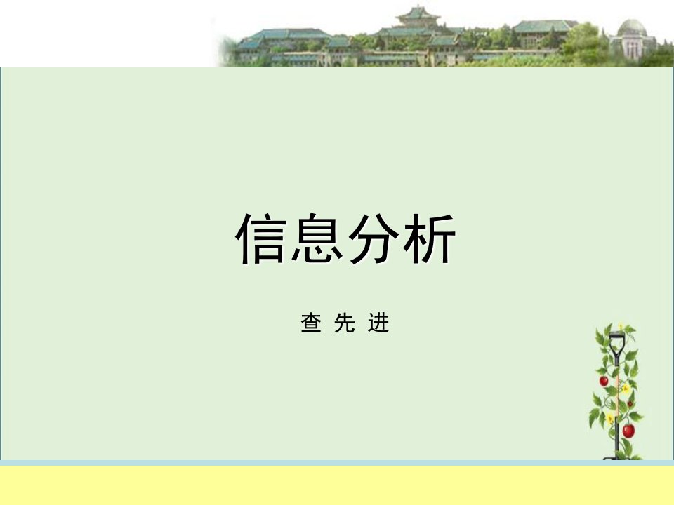 06-领域信息分析(信息分析课件)