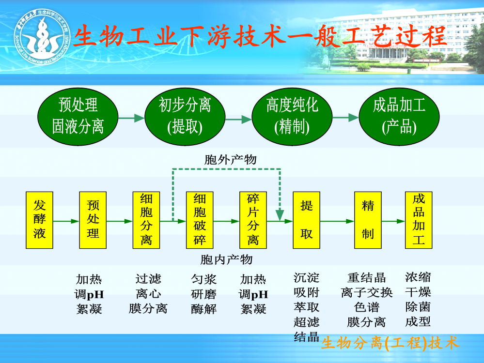 生物分离工程技术沉淀与膜分离技术