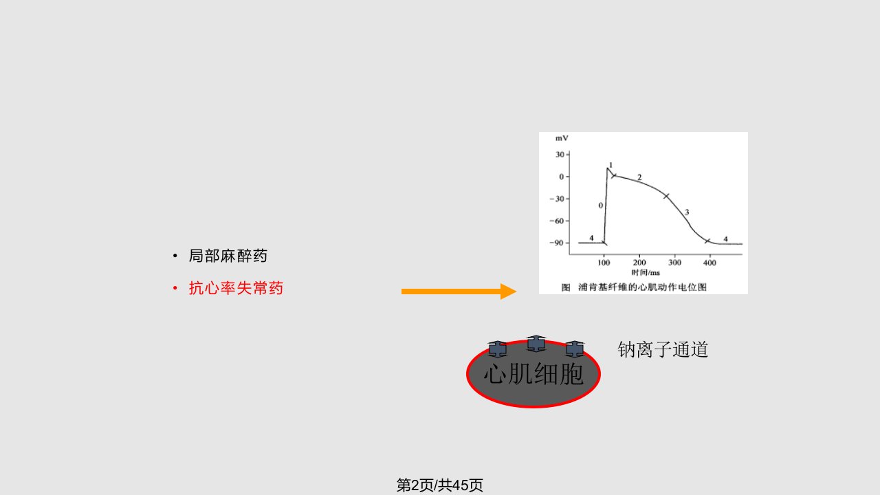 钠离子钾离子通道阻滞剂