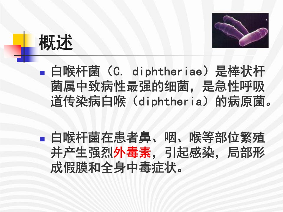 白喉结核动物其他