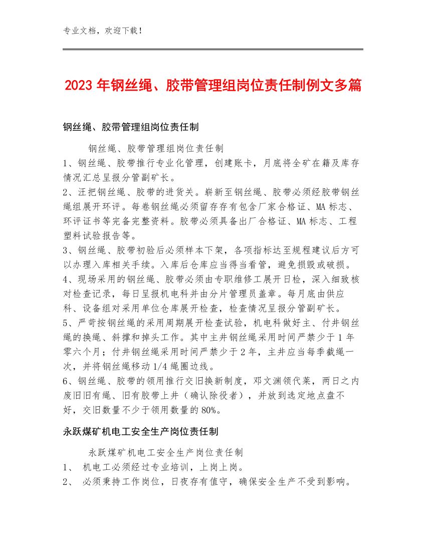 2023年钢丝绳、胶带管理组岗位责任制例文多篇