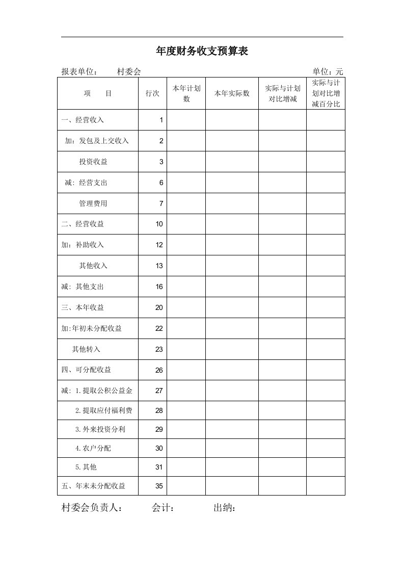 年度财务收支预算表