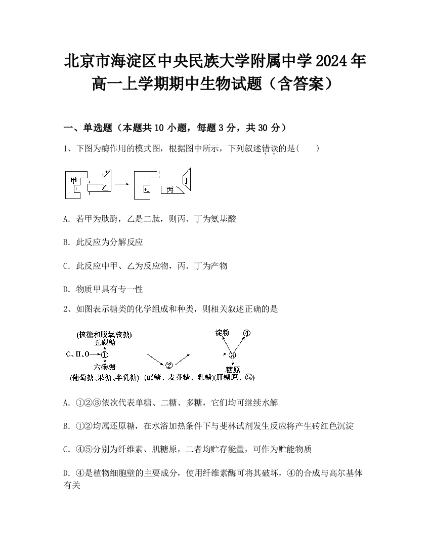 北京市海淀区中央民族大学附属中学2024年高一上学期期中生物试题（含答案）