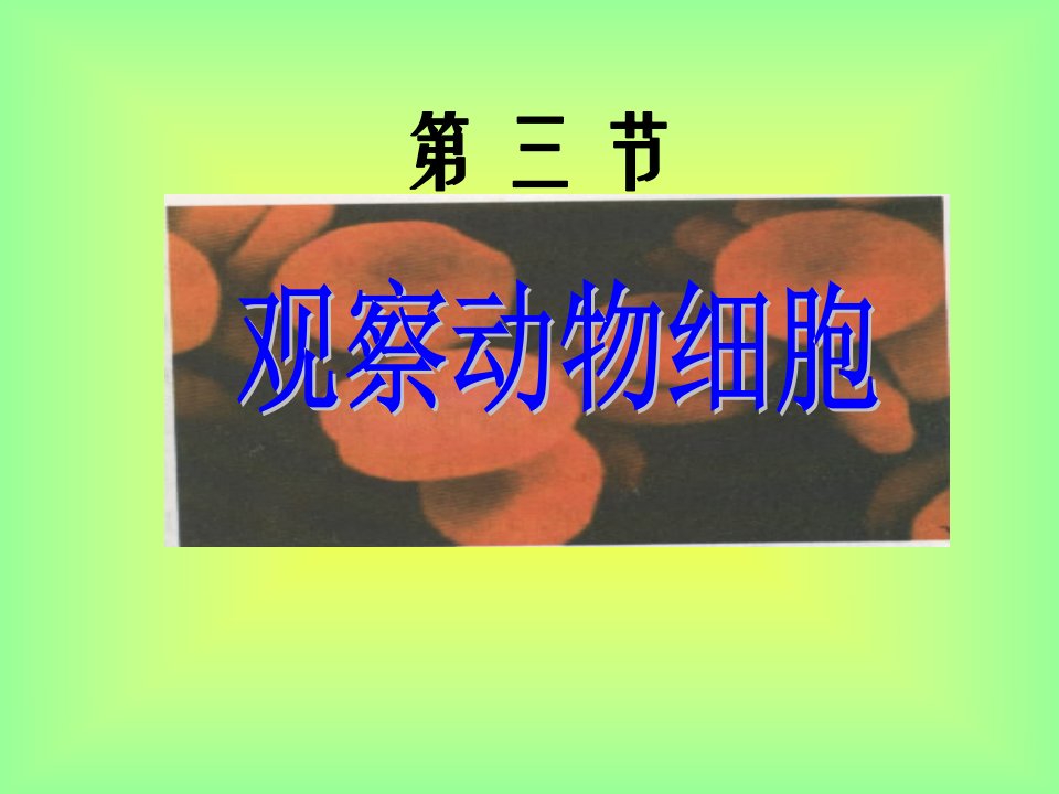 《观察动物细胞课件PPT》