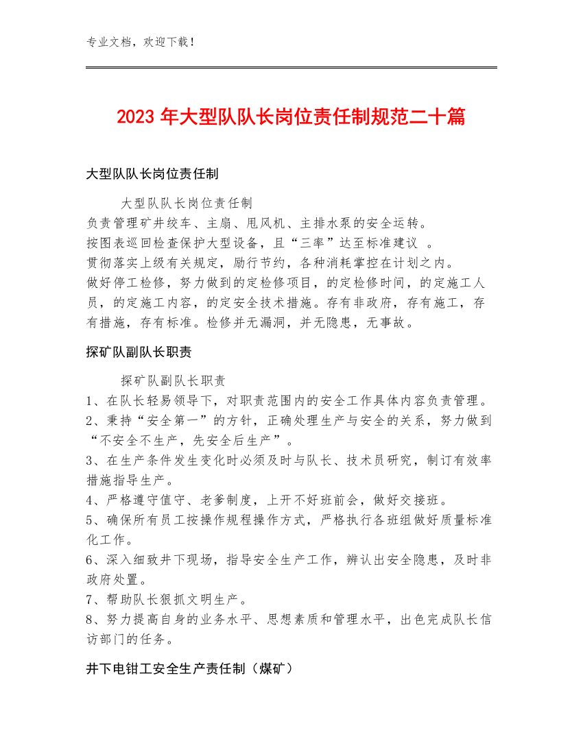 2023年大型队队长岗位责任制规范二十篇