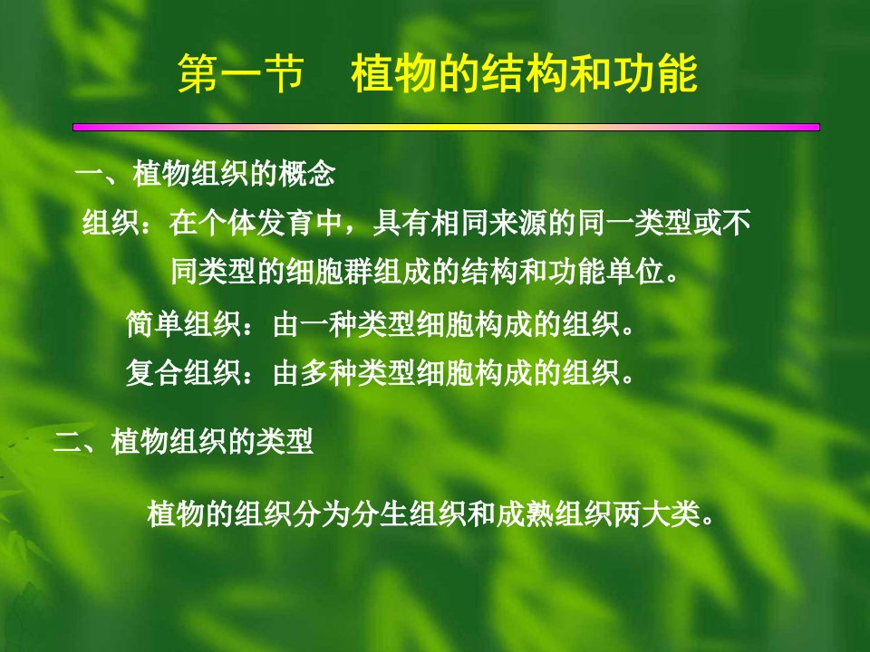 植物组织和功能