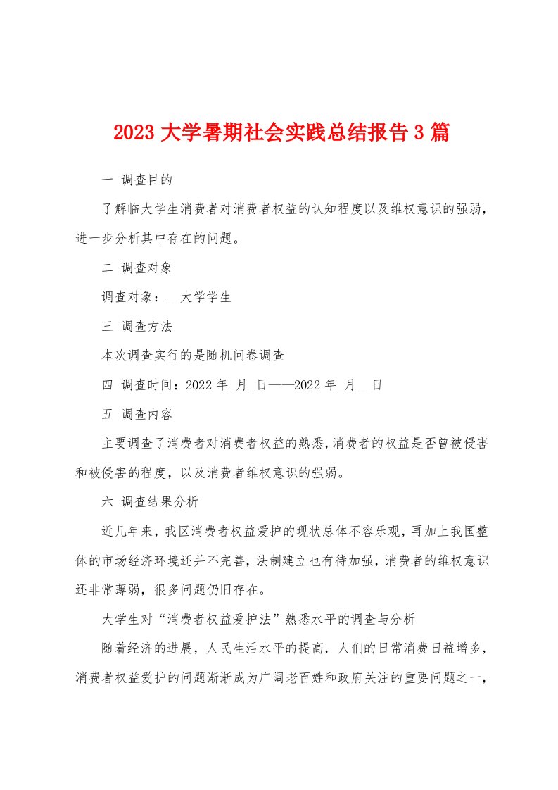 2023年大学暑期社会实践总结报告