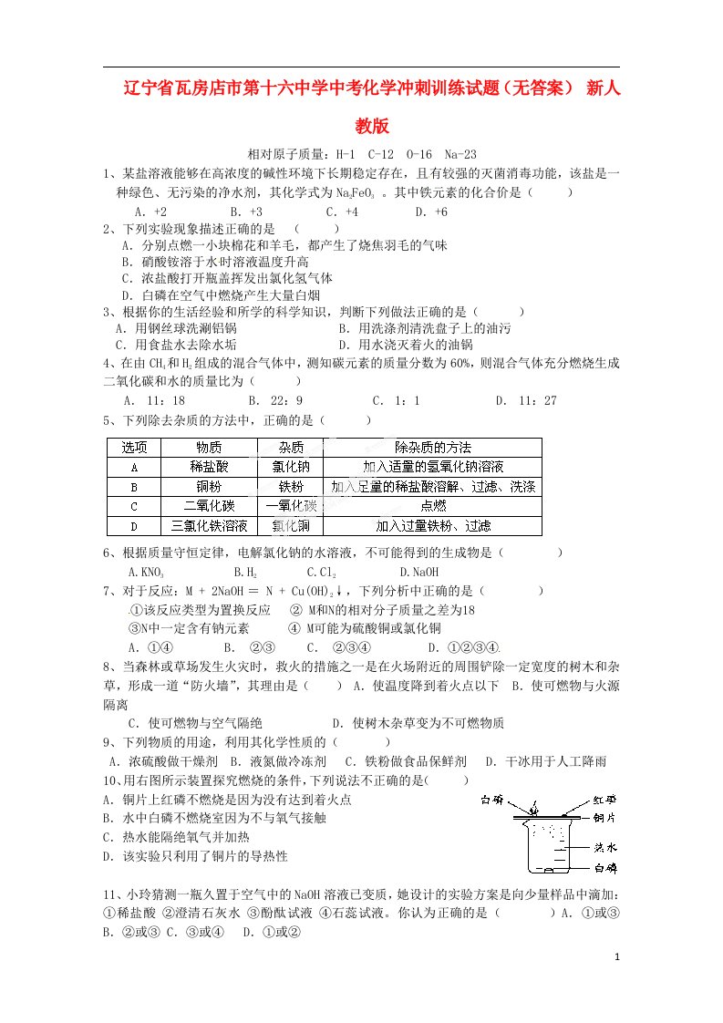 辽宁省瓦房店市第十六中学中考化学冲刺训练试题（无答案）