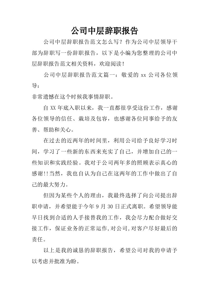 公司中层辞职报告.doc