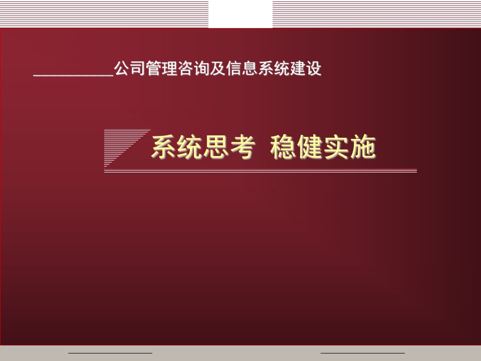 汉普-湘潭钢铁集团公司项目建议书