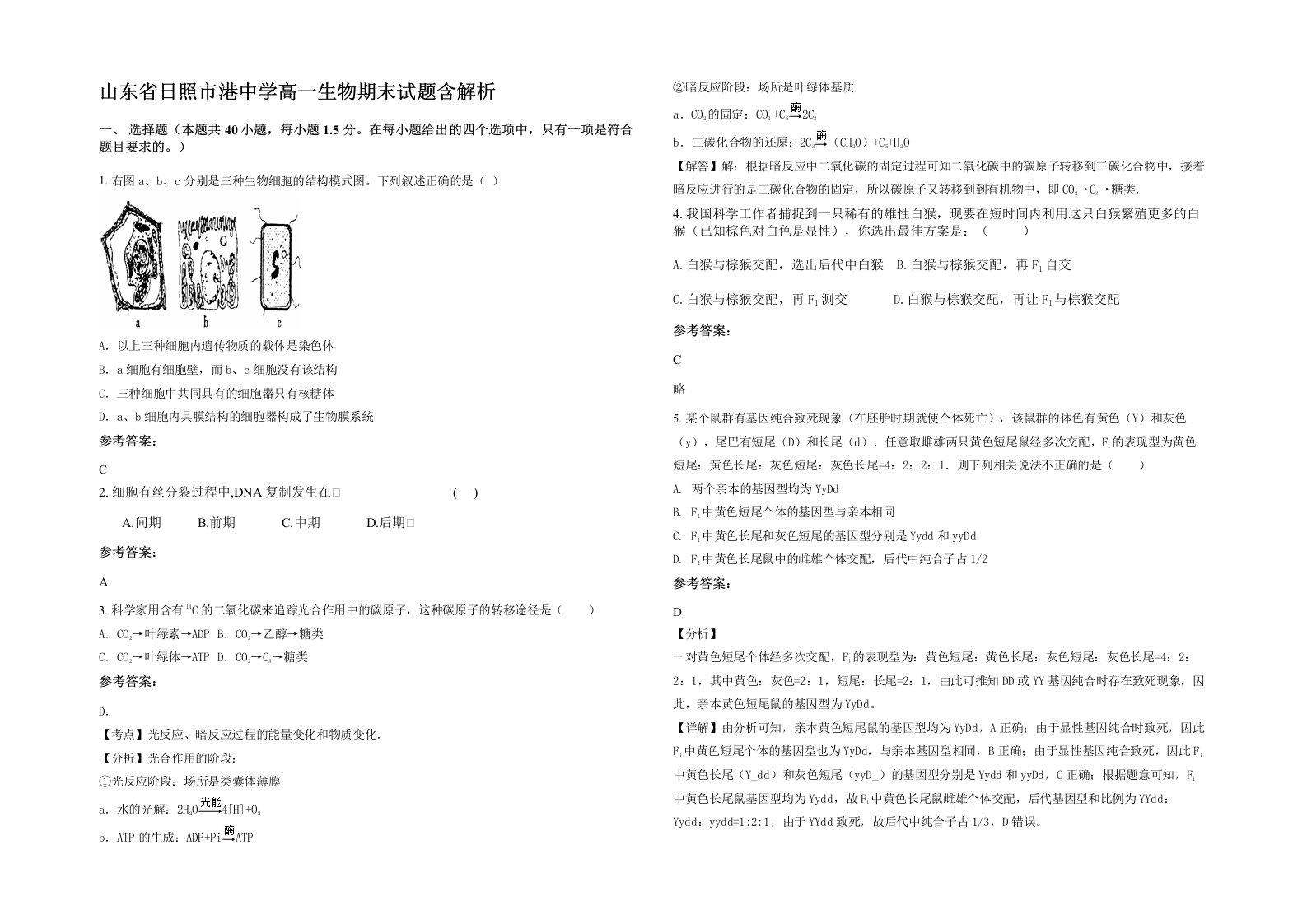 山东省日照市港中学高一生物期末试题含解析