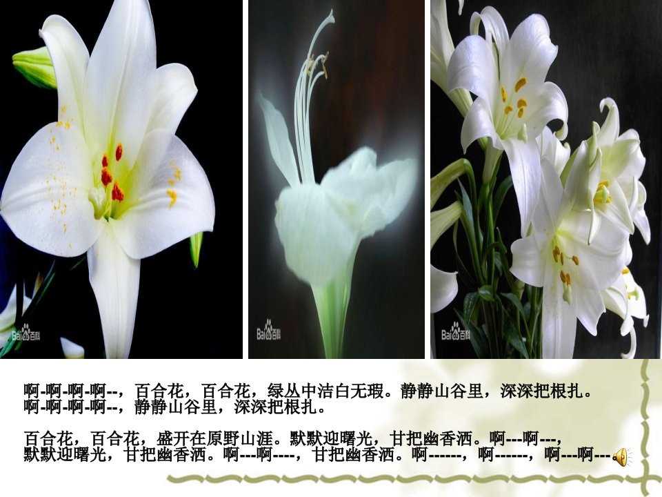 茹志鹃《百合花》