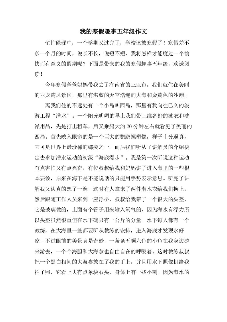 我的寒假趣事五年级作文