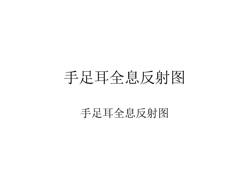 手足耳全息反射图