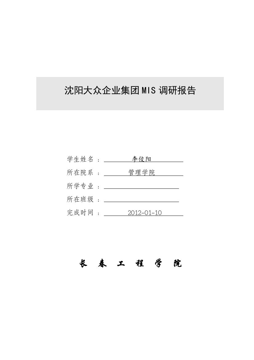 沈阳大众企业集团MIS调研报告