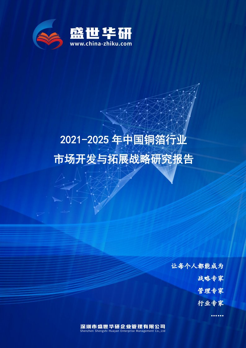 2021-2025年中国铜箔行业市场开发与拓展战略研究报告