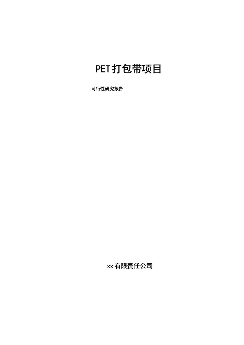 PET打包带项目可行性研究报告范文