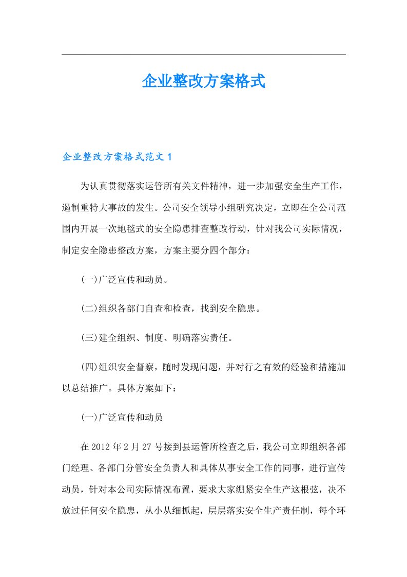 企业整改方案格式