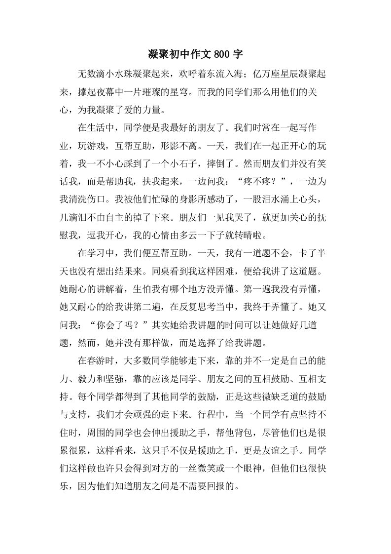 凝聚初中作文800字