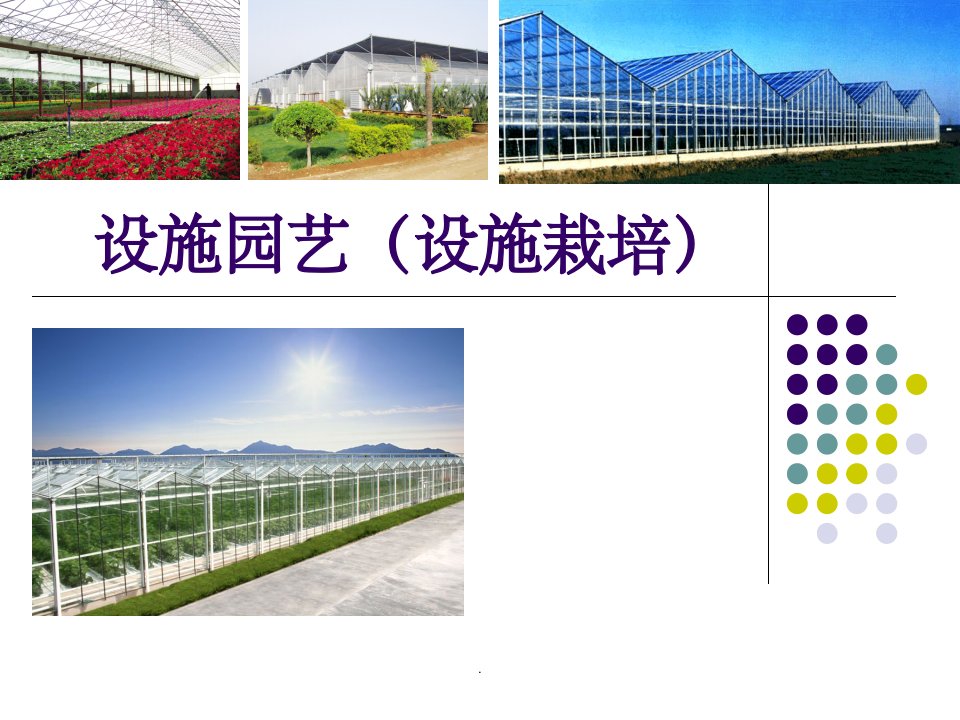 设施园艺(设施栽培)ppt课件