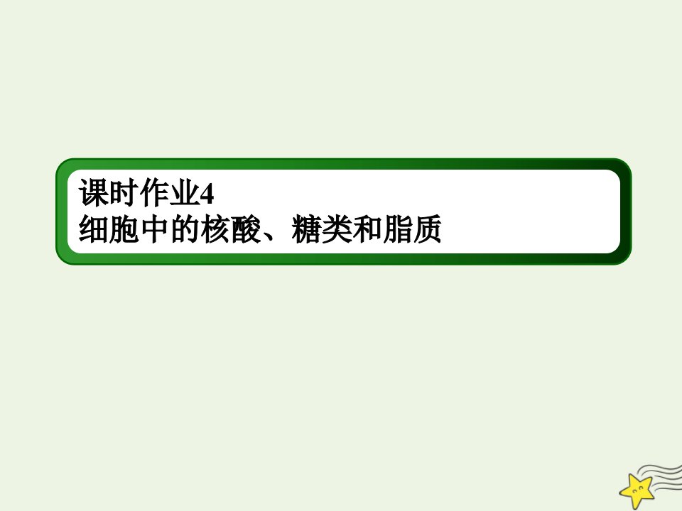 高考生物一轮复习课时作业4细胞中的核酸糖类和脂质课件新人教版