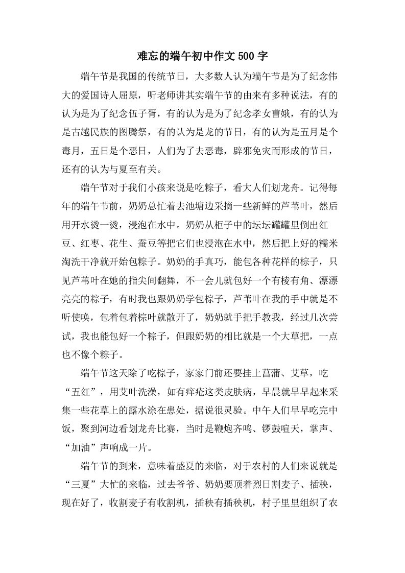 难忘的端午初中作文500字