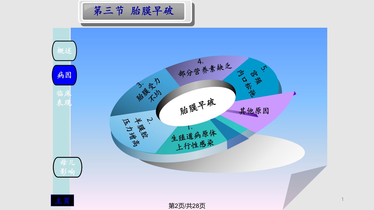 胎膜早破胎盘与胎膜异常文档