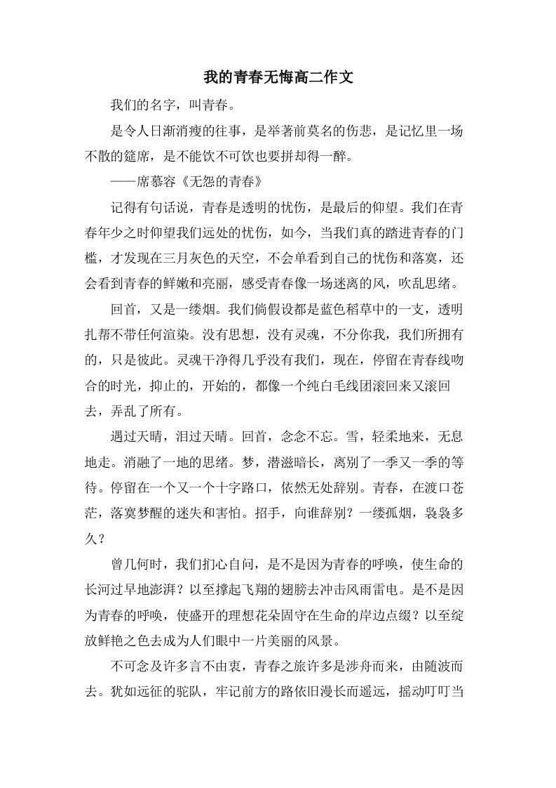 我的青春无悔高二作文